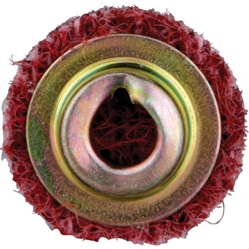 Disque de conditionnement de surface &agrave; remplacement rapide Standard Abrasives, 3/4" dia., Grain Moyen, Oxyde d'aluminium Seaboard Timber Mart