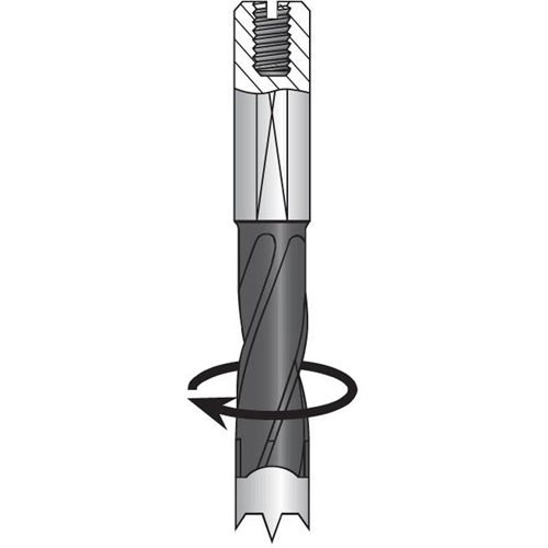 Dowel Drill, Carbide Seaboard Timber Mart