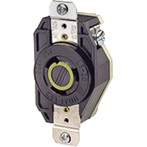 Single Flush 2-Pole 3-Wire Grounding  Receptacle Seaboard Timber Mart