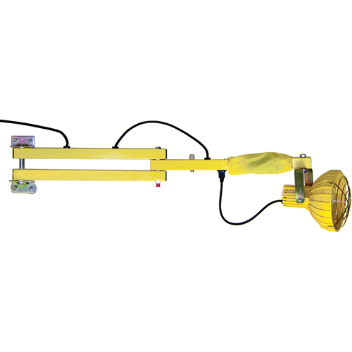 Dock Loading Lights with Flexible Arm, Incandescent Light, 40" Arm Seaboard Timber Mart