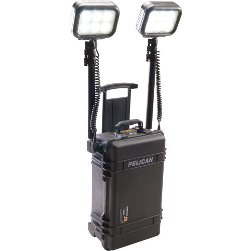 9460 Remote Area Lighting Systems, LED, 12,000 Lumens, Plastic Housing Seaboard Timber Mart