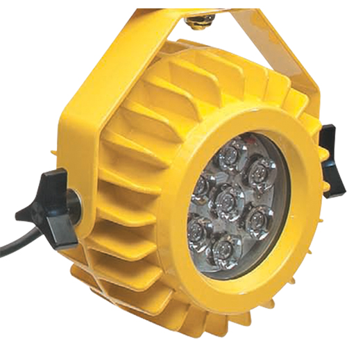 Lampe robuste DEL pour les quais - t&ecirc;te seulement Seaboard Timber Mart