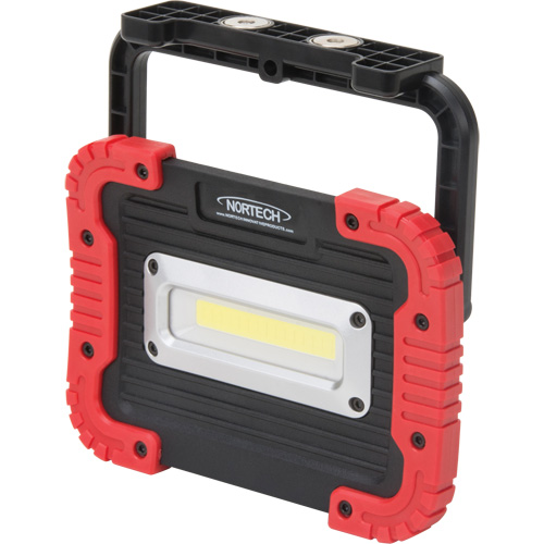 Lampe de travail portative, DEL, 10 W, 1000 lumens, Boîtier en Plastique Seaboard Timber Mart
