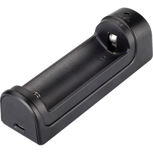 Chargeur intelligent pour pile &agrave; un canal Seaboard Timber Mart