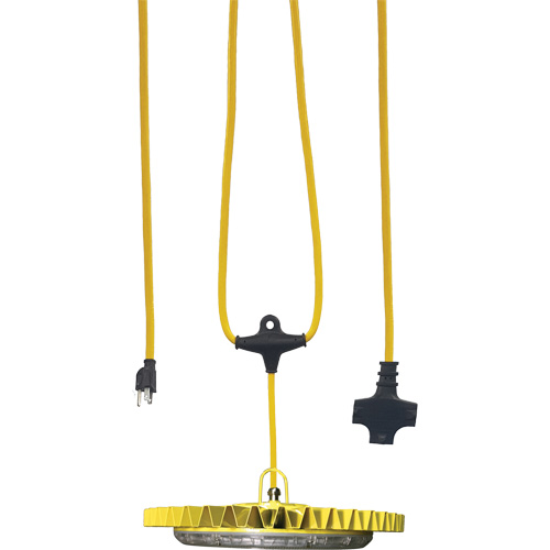 Lampe &agrave; DEL sur&eacute;lev&eacute;e Beacon120 avec cordon d'installation en s&eacute;rie Seaboard Timber Mart
