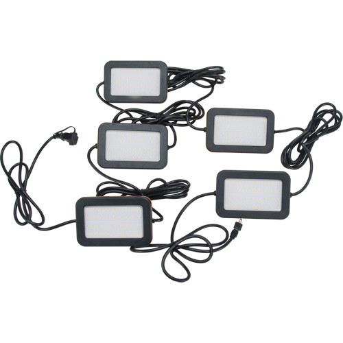 LED String Work Lights, 5 Lights, 50' L, Plastic Housing Seaboard Timber Mart