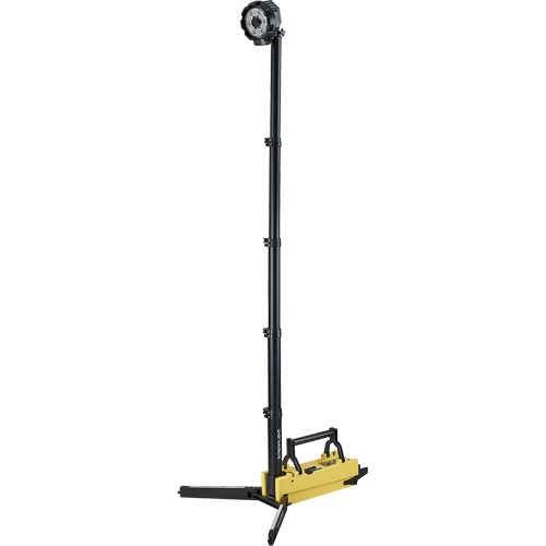 Lampe de sc&egrave;ne d&eacute;ployable portative, DEL, 5300 lumens, Boîtier en Plastique Seaboard Timber Mart