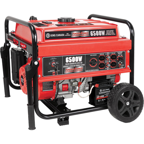 Electric Start Gas Generator with Wheel Kit, 6500 W Surge, 5000 W Rated, 120 V/240 V, 20 L Tank Seaboard Timber Mart