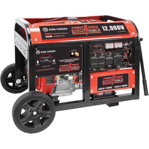G&eacute;n&eacute;ratrice &agrave; essence/propane &agrave; d&eacute;marreur &eacute;lectrique Seaboard Timber Mart