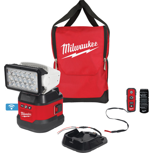 Ensemble d'&eacute;clairage orientable polyvalent &agrave; t&eacute;l&eacute;commande, DEL, 4250 lumens Seaboard Timber Mart
