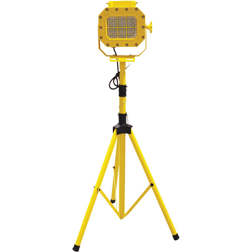 Diffuseur anti-d&eacute;flagration avec tr&eacute;pied, DEL, 40 W, 5600 lumens, Boîtier en Aluminium Seaboard Timber Mart