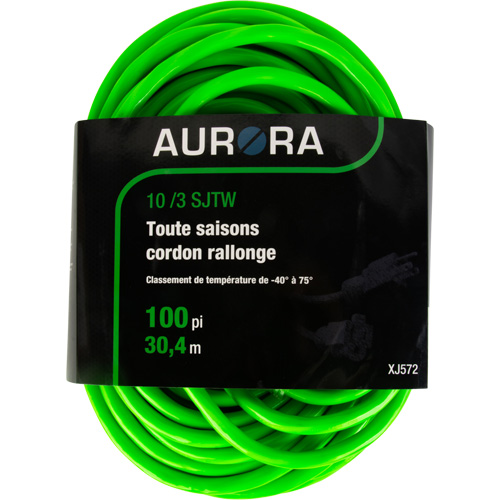 Cordon rallonge de calibre industriel, Toutes saisons, SJTW, AWG 10/3, 15 A, 100' Seaboard Timber Mart
