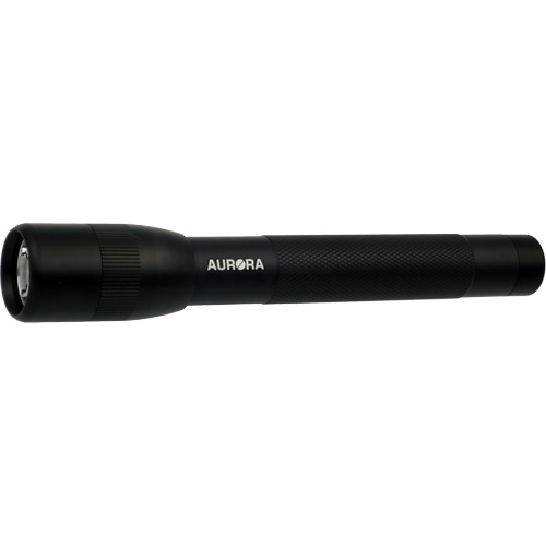 Lampe de poche IPX4, 100 lumens, Piles AA Seaboard Timber Mart