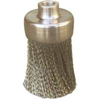 Brosses plates, rondes ou Roto Seaboard Timber Mart