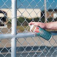 Inhibiteurs de corrosion galvanis&eacute;s &agrave; froid &agrave; rev&ecirc;tement brillant, Canette a&eacute;rosol Seaboard Timber Mart