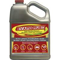 Evapo-Rust&reg; Super Safe Rust Remover, Jug Seaboard Timber Mart