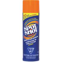 Spot Shot&reg; Professional Instant Carpet Stain Remover, 496 g, Aerosol Can Seaboard Timber Mart