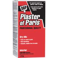 Plaster of Paris Dry Mix, 2 kg, Box Seaboard Timber Mart