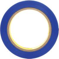 Ruban en polyester 8901, 25,4 mm (1") x 66 m (216'), Bleu Seaboard Timber Mart