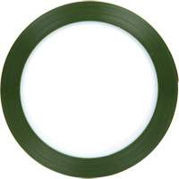 Polyester Tape, Polyester, 25.4 mm (1") W x 66 m (216') L, 1.9 mils Thick Seaboard Timber Mart