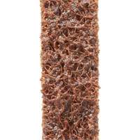 Scotch-Brite Surface Conditioning File Belts Seaboard Timber Mart