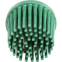 Disques bristle Roloc, Grain 120, 1" dia. Seaboard Timber Mart