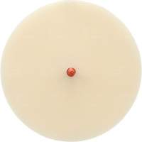Disque Scotch-Brite 7502 pour retrait de colle et de bandes de moulage, 6" dia. Seaboard Timber Mart