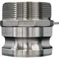 Accouplement &agrave; came et rainure, Acier inoxydable, Type F, 2-1/2", NPT m&acirc;le, 150 psi Seaboard Timber Mart