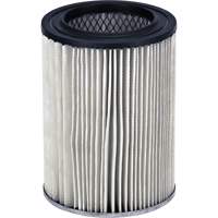 Filtre sec/humide pour aspirateur datelier Ridgid, Cartouche Seaboard Timber Mart