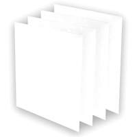 Pr&eacute;-filtres AeraMax Pro AM3 ou AM4, 13,75" la x 0,13" p x 14,38" h Seaboard Timber Mart