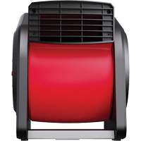 Souffleur d'air Seaboard Timber Mart