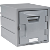Locker, 12" x 15" x 12", Grey, Assembled Seaboard Timber Mart