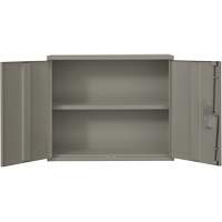 Wall Mounted Cabinet, Steel, 2 Shelves, 30" H x 36" W x 12" D, Grey Seaboard Timber Mart