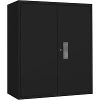 Lo-Boy Storage Cabinet, Steel, 2 Shelves, 42" H x 36" W x 18" D, Black Seaboard Timber Mart