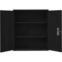 Lo-Boy Storage Cabinet, Steel, 2 Shelves, 42" H x 36" W x 18" D, Black Seaboard Timber Mart