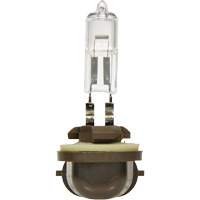 886 Phare antibrouillard de base, Halog&egrave;ne, 50 W, Blanc cass&eacute; Seaboard Timber Mart