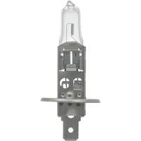 64155 Basic Automotive Bulb, Halogen, 78 W, Off White Seaboard Timber Mart