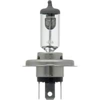 9003 Ampoule de base pour feu avant, Halog&egrave;ne, 61 W/67 W, Blanc cass&eacute; Seaboard Timber Mart