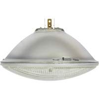 Phare automobile scell&eacute; de base H6024, 40 W, Blanc cass&eacute; Seaboard Timber Mart