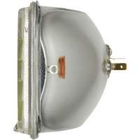 Phare automobile scell&eacute; de base H6054, 35 W, Blanc Seaboard Timber Mart
