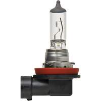 H8 Basic Headlight Bulb, Halogen, 35 W, Off White Seaboard Timber Mart