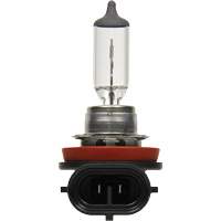 H8 Basic Headlight Bulb, Halogen, 35 W, Off White Seaboard Timber Mart