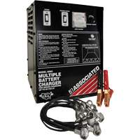Multi-Battery Series Charger Seaboard Timber Mart