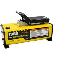Pro Series 1/2 Gallon Air Hydraulic Pump Seaboard Timber Mart
