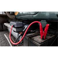 Survolteur pour batterie GB251+ Boost Max Seaboard Timber Mart