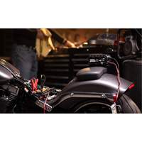 Chargeur de batterie 10 A Genius 10 Seaboard Timber Mart