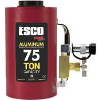 Heavy-Duty Hydraulic Cylinder, 6" Stroke, 75 Ton(s) Capacity, 10000 PSI Seaboard Timber Mart