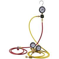 Automotive A/C Nitrogen Leak Test Kit with Regulator Seaboard Timber Mart