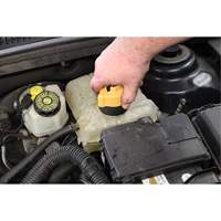 Trousse de test de pression du syst&egrave;me de refroidissement Seaboard Timber Mart