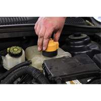 Trousse de test de pression du syst&egrave;me de refroidissement Seaboard Timber Mart